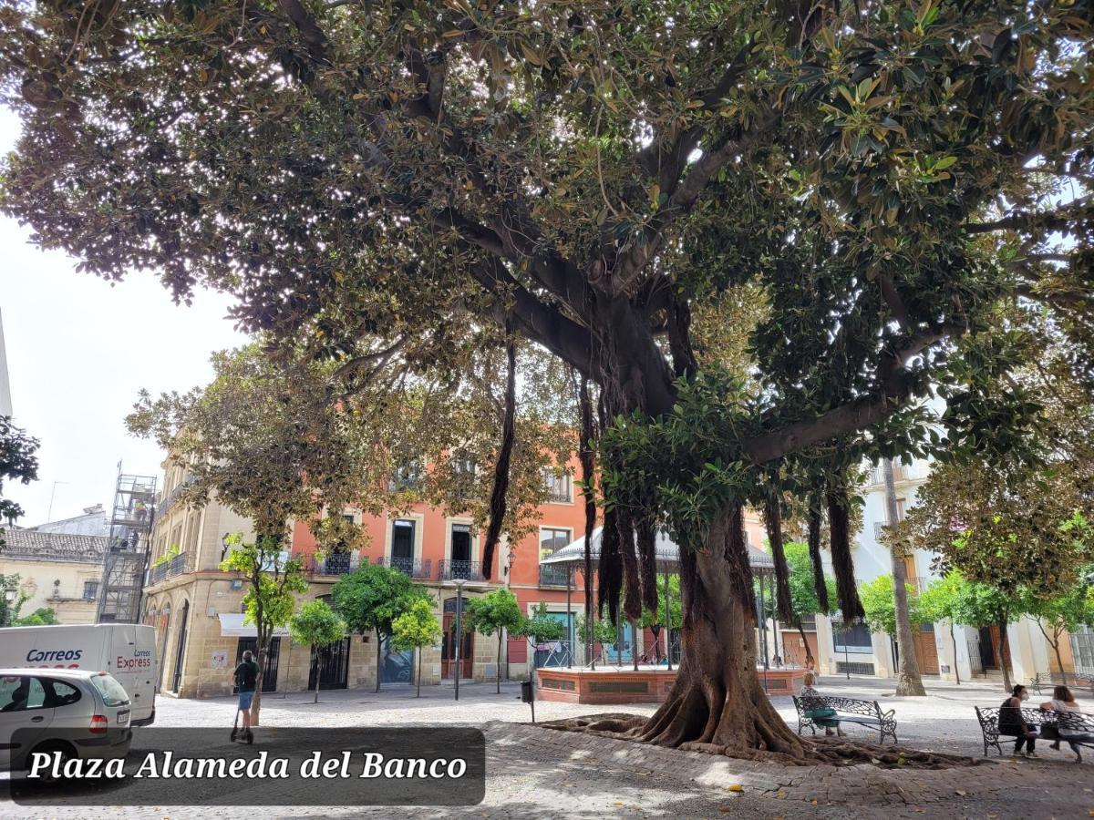 Апартаменты Jerez Centro Historico Херес-де-ла-Фронтера Экстерьер фото