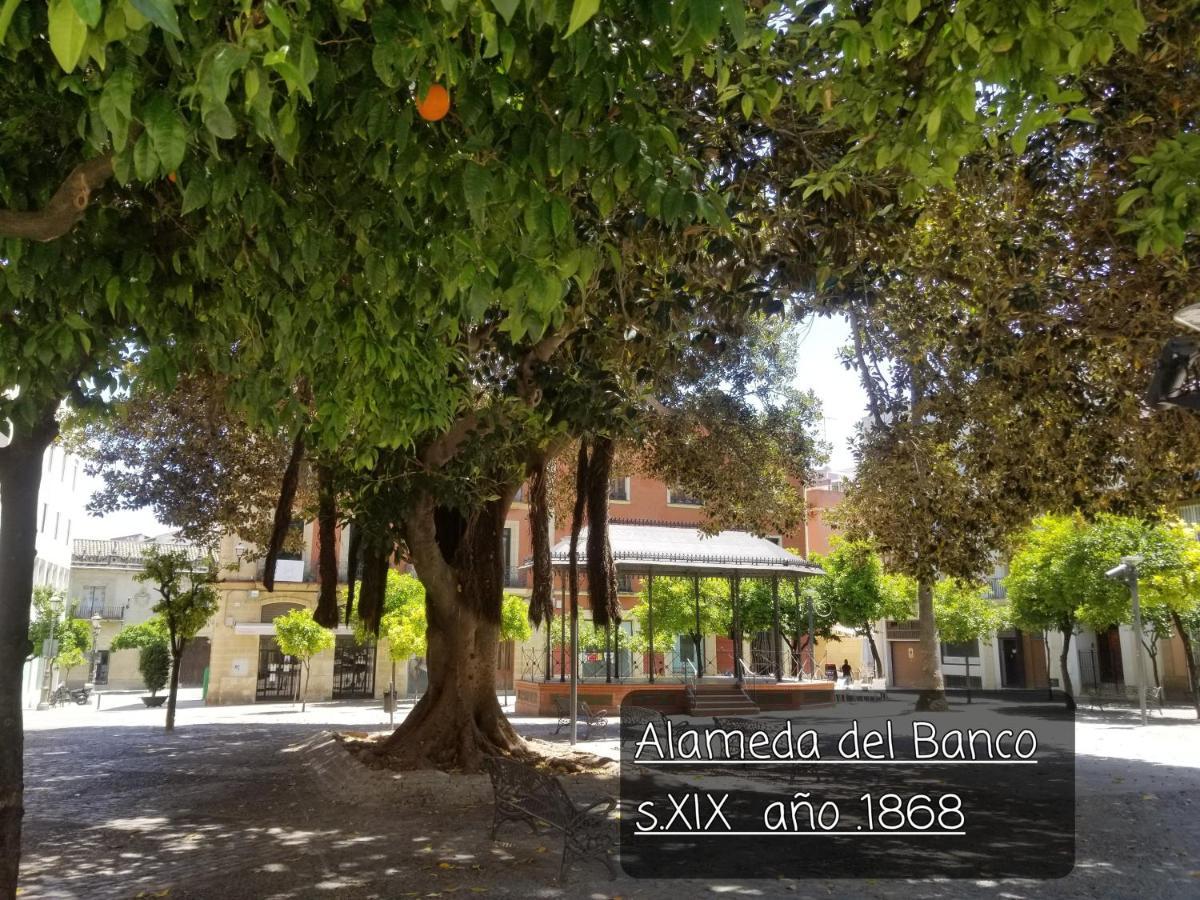 Апартаменты Jerez Centro Historico Херес-де-ла-Фронтера Экстерьер фото