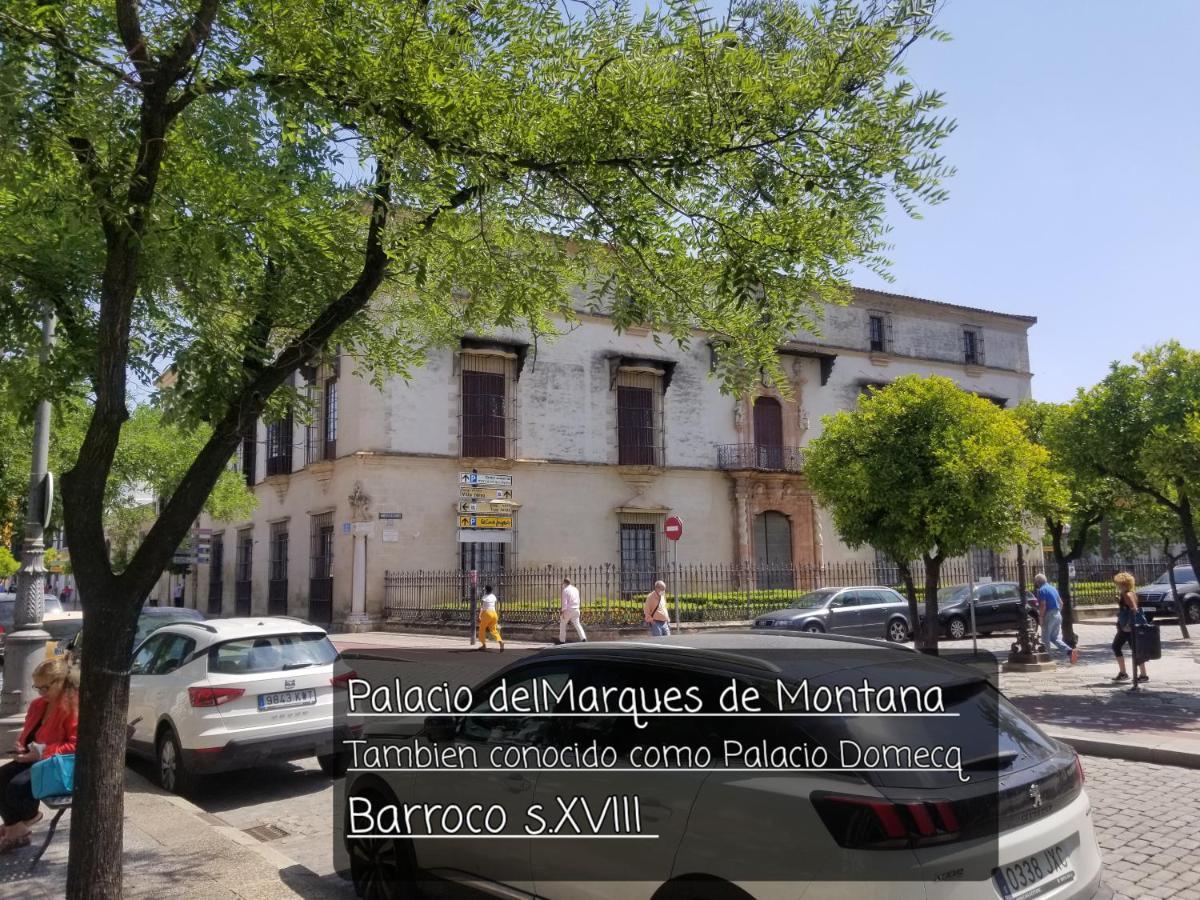 Апартаменты Jerez Centro Historico Херес-де-ла-Фронтера Экстерьер фото